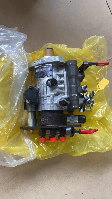 4631678 Pump As-Fuel Injection  Parts Excavator Fuel Pump